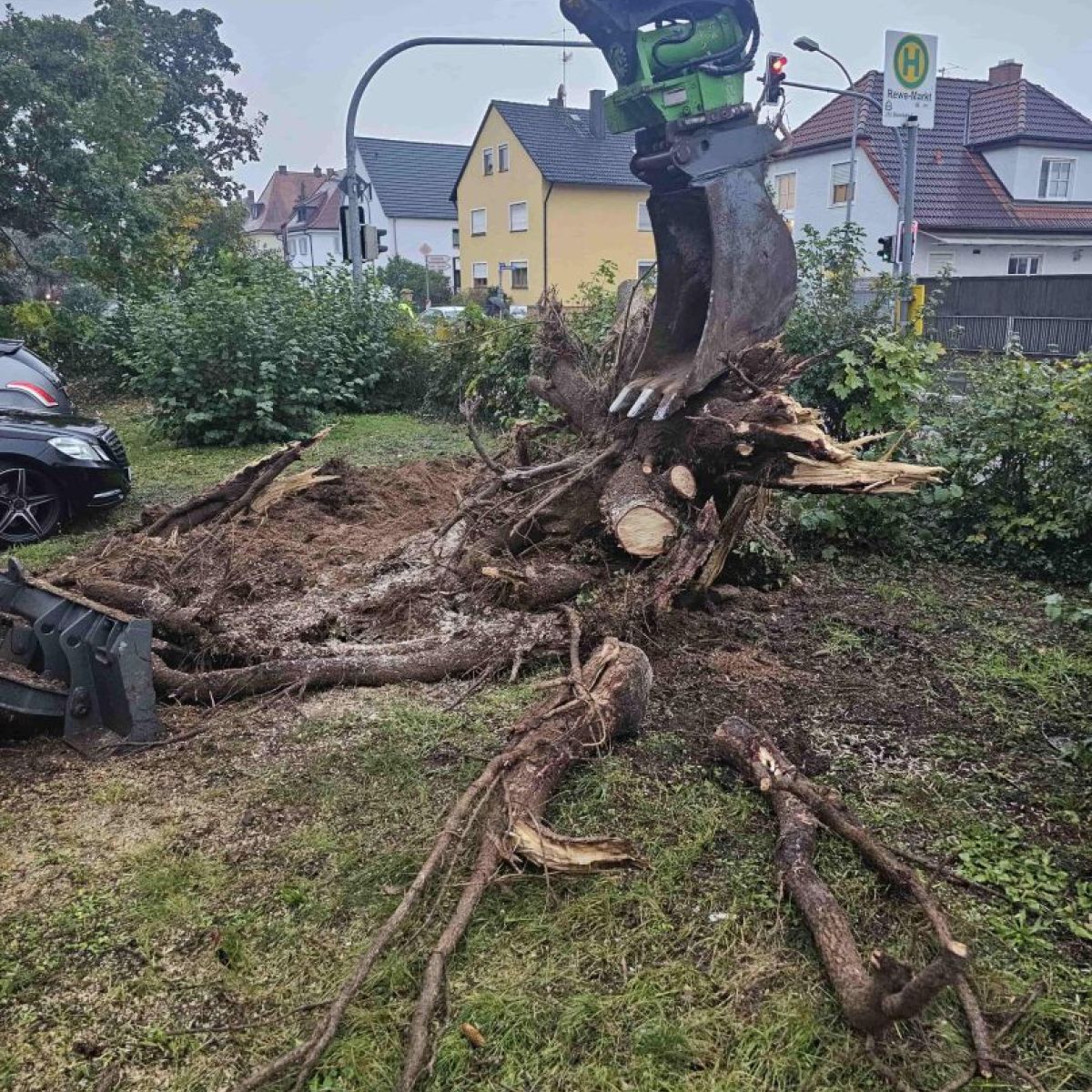 Wurzelrodung