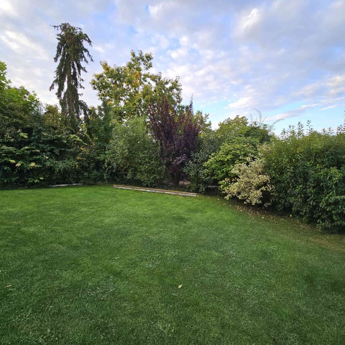 Garten- & Grünpflege